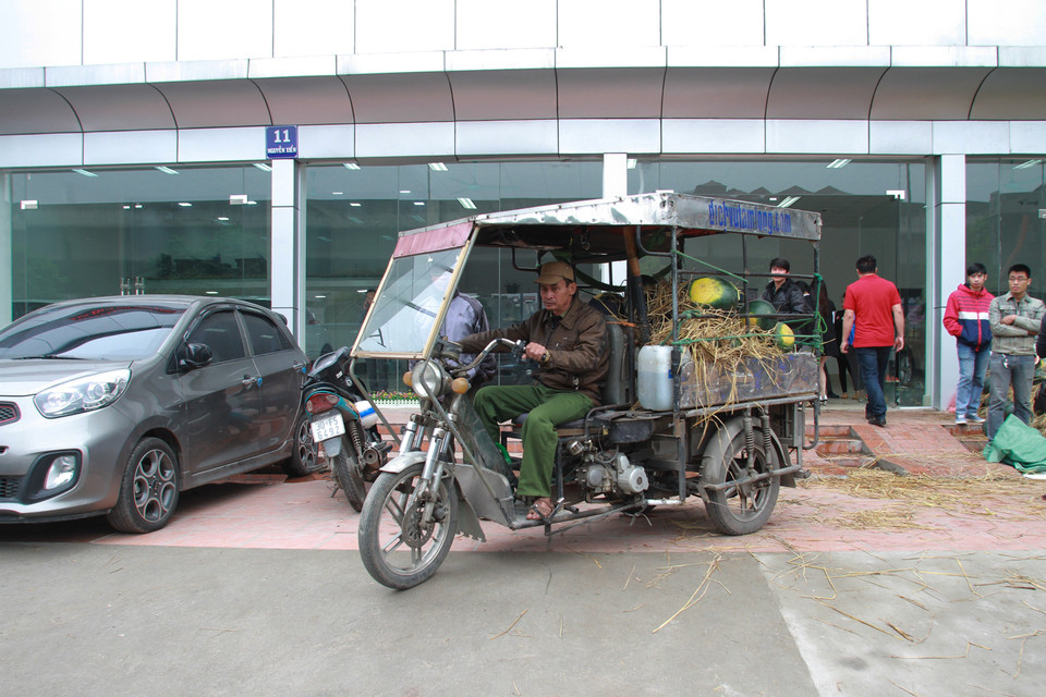 Cùng thời gian này, tại cửa khẩu Tân Thanh (Lạng Sơn) mỗi ngày có đến 800 xe hoa quả đổ về nhưng chưa đến một nửa được phía Trung Quốc nhập khẩu. (Ảnh: PV/Vietnam+)