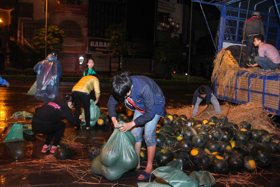Đúng 3h30 sáng ngày 10/4, 18 tấn dưa hấu từ Quảng Nam đã được đưa về Hà Nội. Rất nhiều tình nguyện đã cùng chung sức bốc dỡ dưa hấu trong đêm mưa tầm tã. (Ảnh: PV/Vietnam+)
