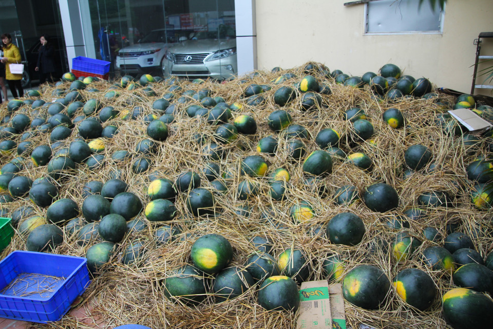 Phong trào “Bán giúp nông sản cho bà con vùng ngập lụt Quảng Nam” do nhóm các bạn trẻ Câu lạc bộ Chung Sức Trẻ (tỉnh Quảng Nam) khởi xướng. (Ảnh: PV/Vietnam+)