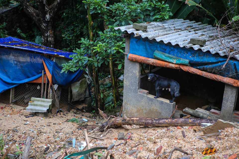 Trong ngày xảy ra tai họa, chỉ có duy nhất các công trình phụ của gia đình anh Vỹ là không bị thiệt hại gì. (Ảnh: Minh Sơn/Vietnam+)