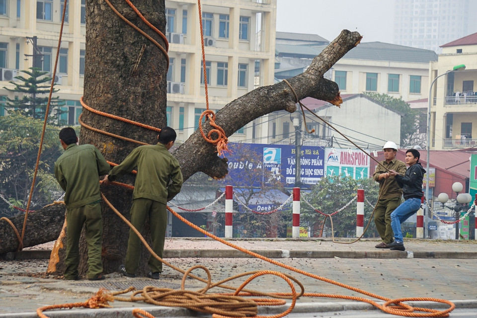 Rồi dùng dây thừng kéo xuống. (Ảnh: Minh Sơn-Hoàng Long/Vietnam+)