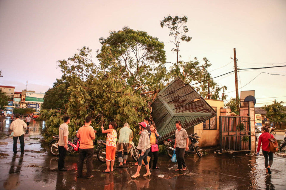 Phòng bảo vệ bến xe Giáp Bát bị cây đổ sập mái, rất may mắn không có ai bị thương. (Ảnh: Minh Sơn/Vietnam+)