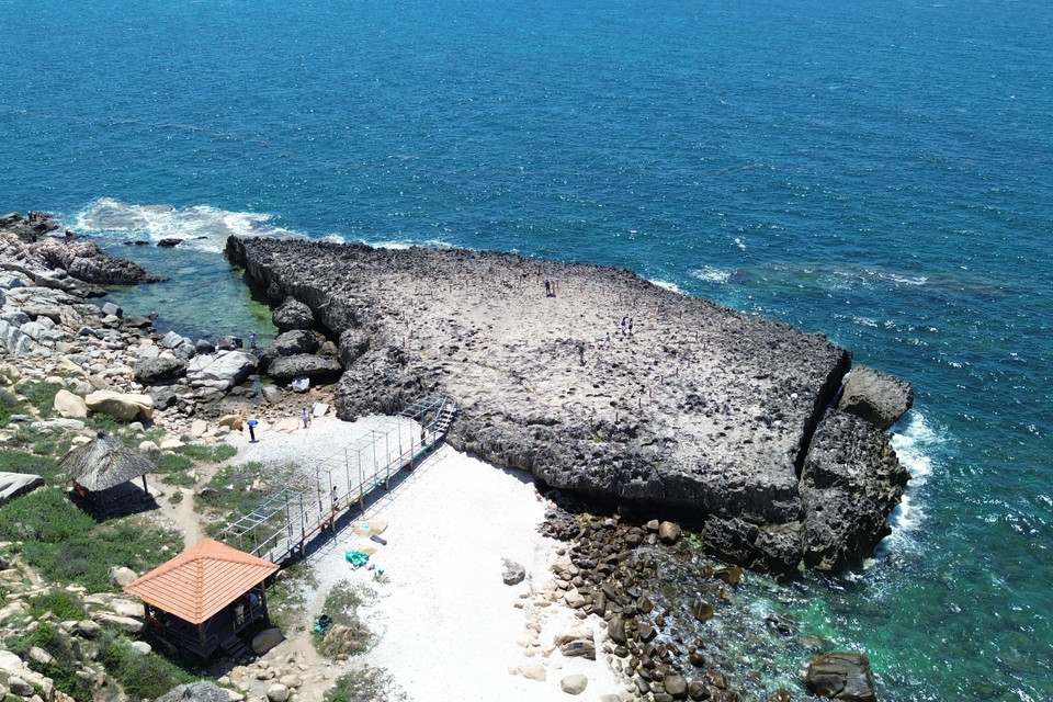 Bãi san hô cổ ở Hang Rái nằm trong Khu Dự trữ Sinh quyển Thế giới Núi Chúa. (Ảnh: Nguyễn Thành/TTXVN)