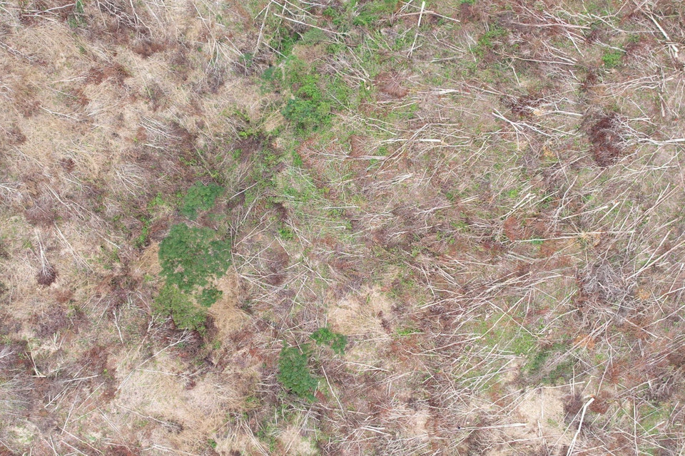 Vụ việc diễn ra vào ngày 6/9/2023, khi trên địa bàn có mưa lớn, nước sông dâng cao, gây khó khăn cho việc tuần tra, kiểm tra. (Ảnh: Hoài Nam/TTXVN)