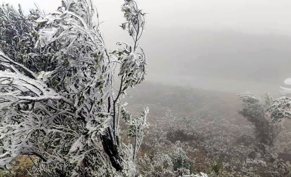 Băng giá xuất hiện ở núi Cao Ly, huyện Bình Liêu. (Ảnh: TTXVN phát)