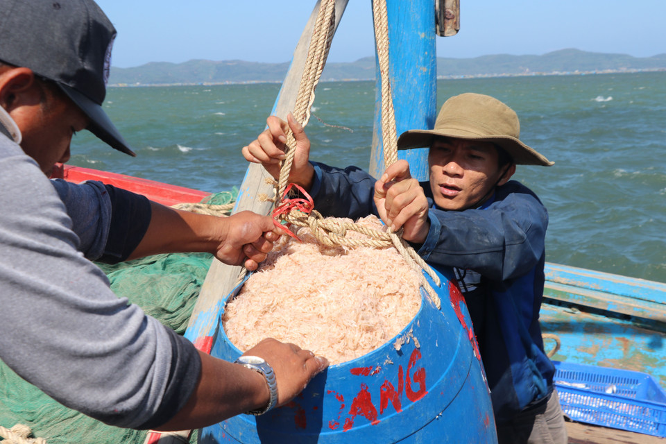 Ngư dân phường Xuân Thành đưa ruốc từ thuyền lên cảng. (Ảnh: Phạm Cường/TTXVN)