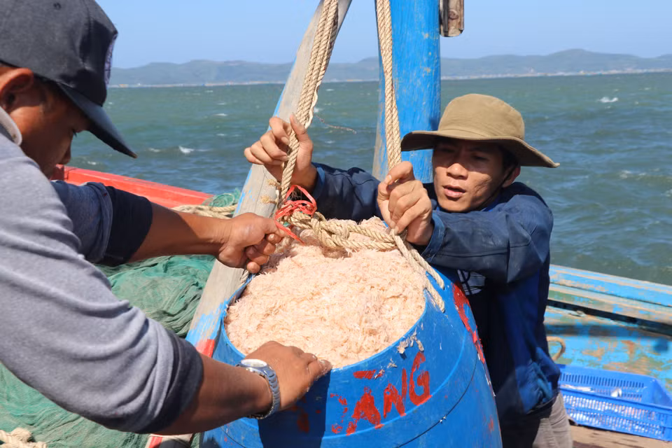 Ngư dân phường Xuân Thành đưa ruốc từ thuyền lên cảng. (Ảnh: Phạm Cường/TTXVN)