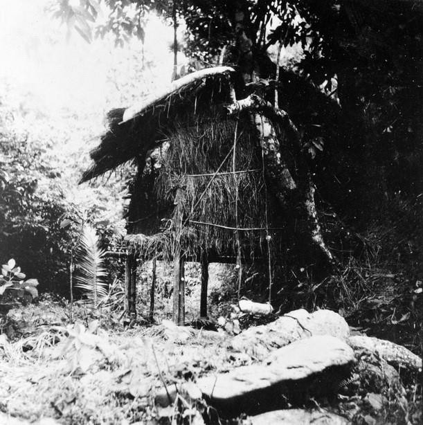 Lán Khuổi Nậm ở Pác Bó, xã Trường Hà, huyện Hà Quảng, Cao Bằng, nơi diễn ra Hội nghị Trung ương Đảng Cộng sản Đông dương lần thứ VIII (5/1941) quyết định đặt nhiệm vụ giải phóng dân tộc lên hàng đầu và thành lập Mặt trận Việt Minh. (Nguồn: TTXVN)