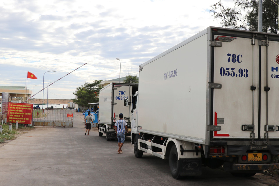 Các lái xe tải được yêu cầu đo thân nhiệt, làm thủ tục trước khi vào cảng Phú Lạc theo thức tự. (Ảnh: Phạm Cường/TTXVN)