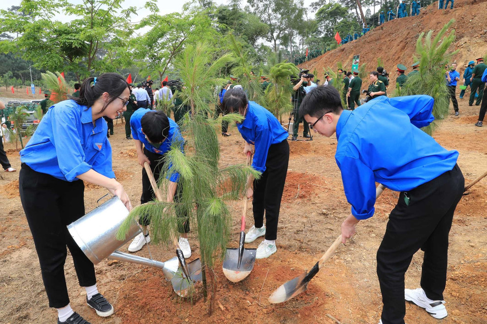 Các lực lượng tham gia trồng cây. (Ảnh: Trọng Đức/TTXVN)
