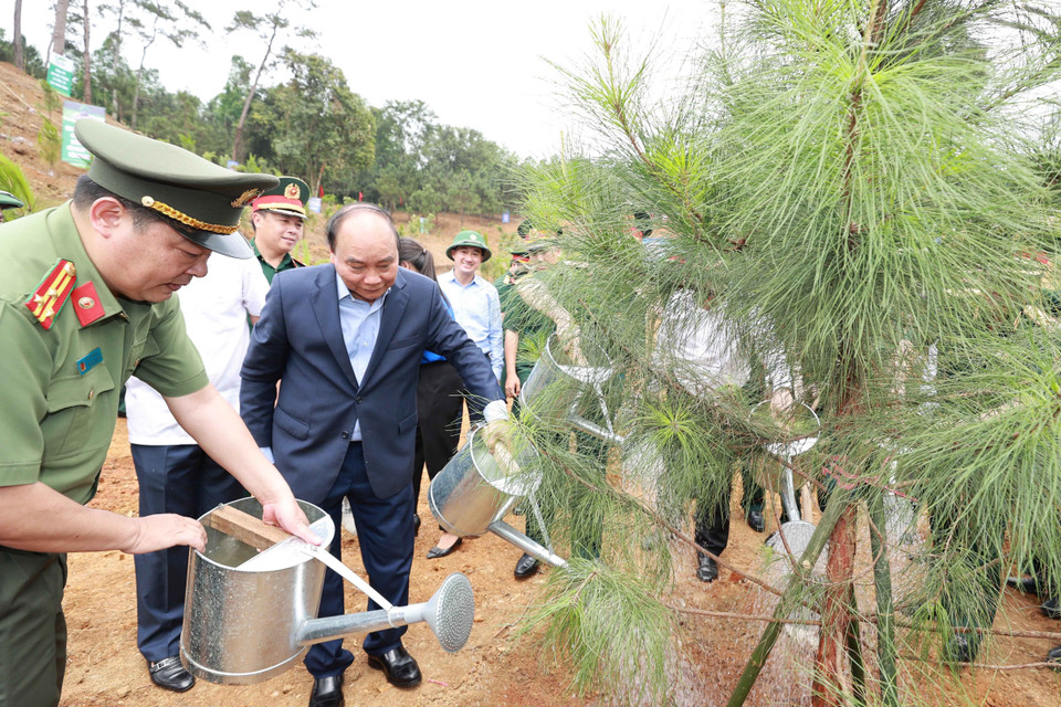 Chủ tịch nước Nguyễn Xuân Phúc cùng các đại biểu trồng cây tại Khu Di tích K9. (Ảnh: Thống Nhất/TTXVN)