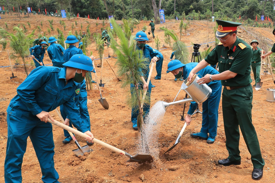 Các lực lượng tham gia trồng cây. (Ảnh: Trọng Đức/TTXVN)