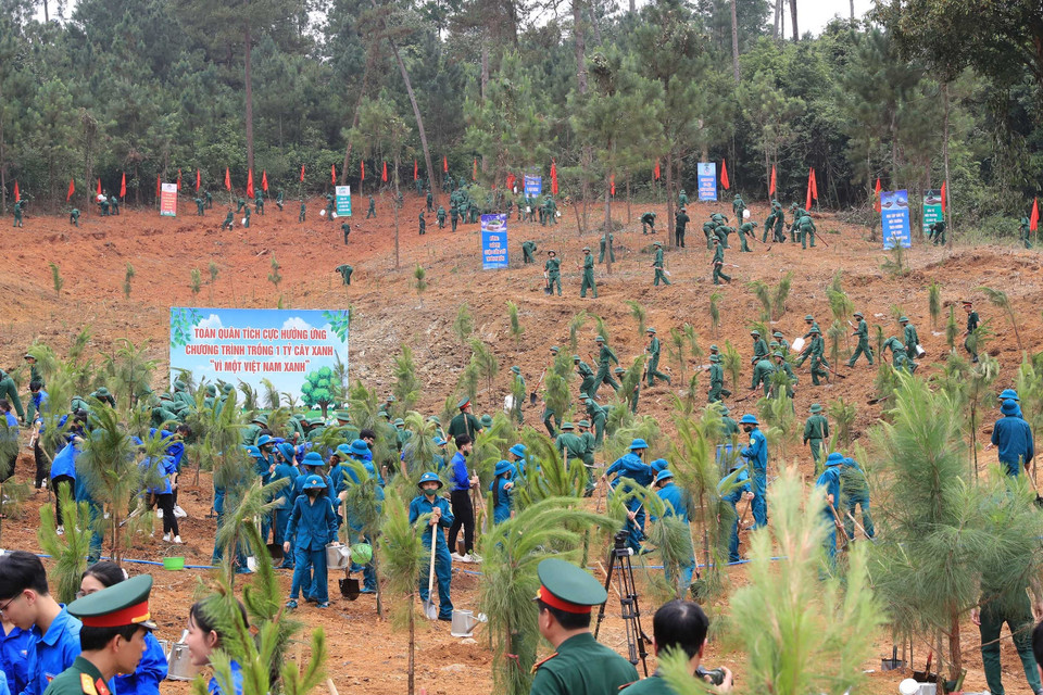 Các lực lượng tham gia trồng cây. (Ảnh: Trọng Đức/TTXVN)