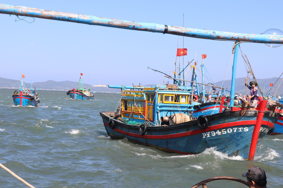 Các thuyền chở đầy ắp ruốc nối đuôi nhau cập cảng Dân Phước, phường Xuân Thành, thị xã Sông Cầu, Phú Yên. (Ảnh: Phạm Cường/TTXVN)