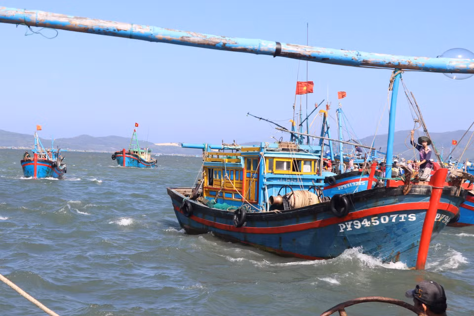 Các thuyền chở đầy ắp ruốc nối đuôi nhau cập cảng Dân Phước, phường Xuân Thành, thị xã Sông Cầu, Phú Yên. (Ảnh: Phạm Cường/TTXVN)