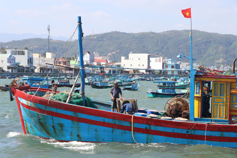 Các thuyền chở đầy ắp ruốc nối đuôi nhau cập cảng Dân Phước, phường Xuân Thành, thị xã Sông Cầu, Phú Yên bán cho thương lái. (Ảnh: Phạm Cường/TTXVN)