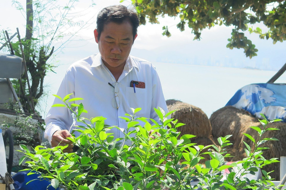 Cựu chiến binh, thương binh hạng 2/4 Nguyễn Văn Dũng (sinh năm 1966) trú tại phường Vĩnh Hòa, thành phố Nha Trang, tỉnh Khánh Hòa là một trong số ít những người lính trở về sau cuộc chiến đấu bảo vệ chủ quyền biển đảo Tổ quốc ở Gạc Ma năm 1988. (Ảnh: Phan Sáu/TTXVN)