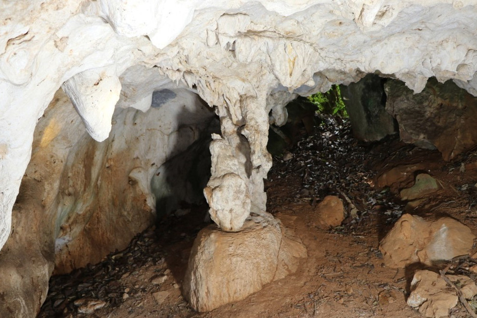 Nhũ đá trên vòm khoang thứ nhất của hang động Hắt Chuông. (Ảnh: Xuân Tiến/TTXVN)