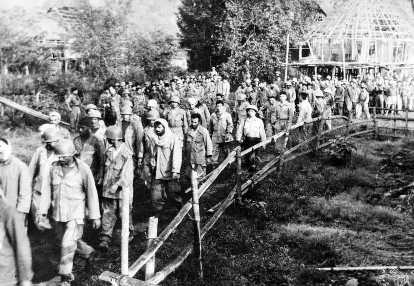 Tù binh Pháp ở Điện Biên Phủ được áp giải về hậu phương. (Ảnh: TTXVN)