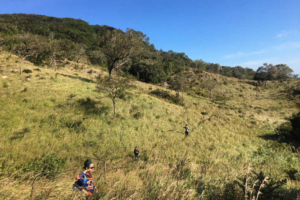 Du khách khám phá hệ sinh thái rừng tại Khu Dự trữ Sinh quyển Núi Chúa. (Ảnh: Nguyễn Thành/TTXVN)