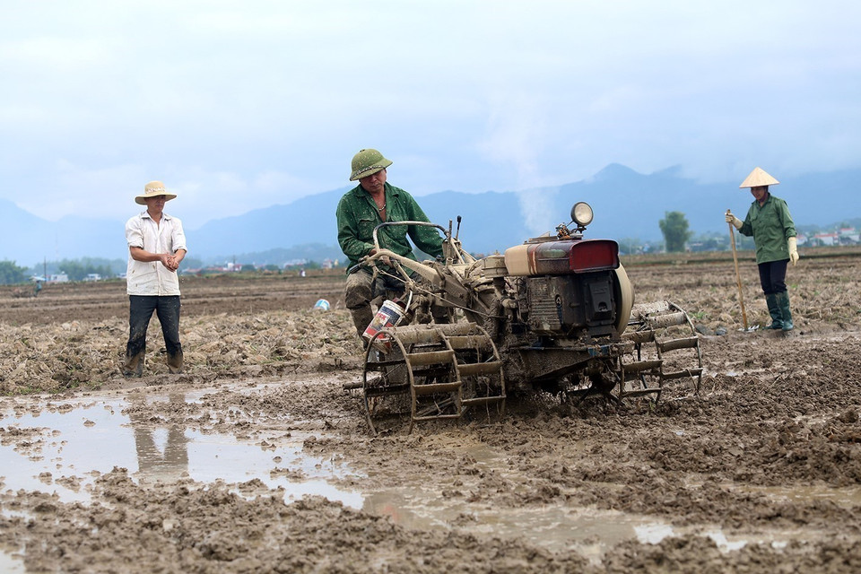  Vận dụng sáng tạo tư tưởng của Chủ tịch Hồ Chí Minh về thi đua yêu nước, trong thời kỳ đổi mới, nhiều phong trào đã, đang thực hiện thực chất và phát huy hiệu quả, trong đó có phong trào Cả nước chung tay vì người nghèo, không để ai bị bỏ lại phía sau. Đến cuối năm 2017, tỷ lệ hộ nghèo bình quân cả nước giảm còn khoảng 6,72%. Trong ảnh: Nhiều hộ gia đình ở tỉnh Điện Biên thoát nghèo nhờ các chương trình xóa đói giảm nghèo. (Ảnh: Phan Tuấn Anh/TTXVN) 