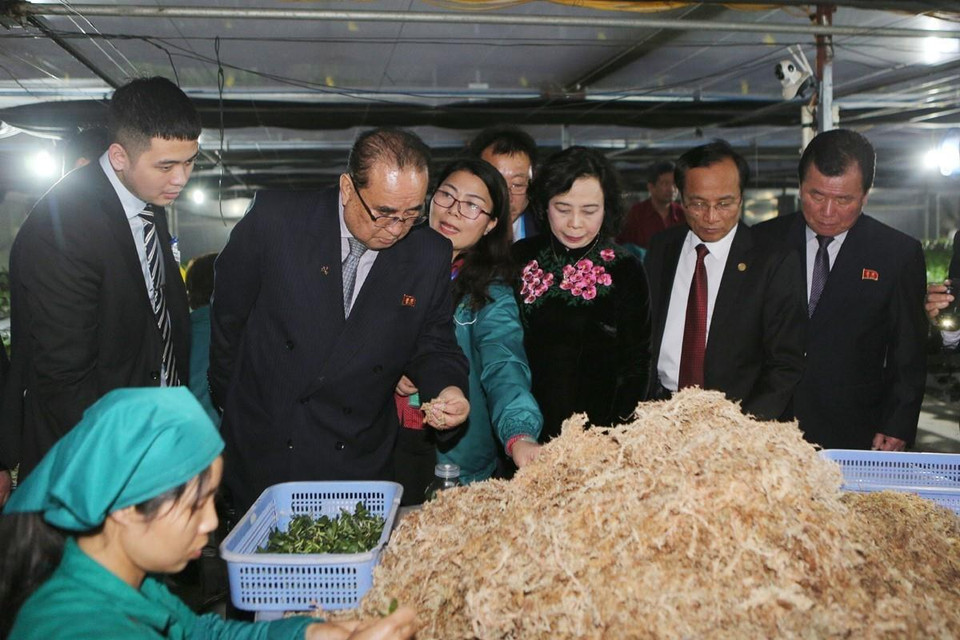 Đoàn đại biểu cấp cao Đảng Lao động Triều Tiên đến thăm mô hình vườn ươm, trồng hoa lan của Hợp tác xã Đan Hoài, huyện Đan Phượng, Hà Nội. (Ảnh: Dương Giang/TTXVN)