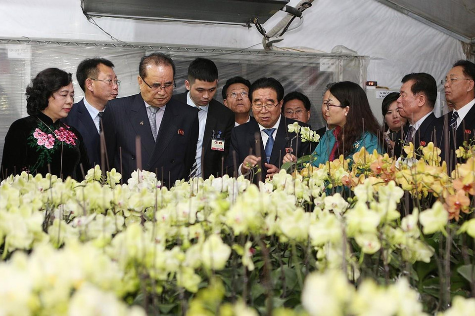 Đoàn đại biểu cấp cao Đảng Lao động Triều Tiên đến thăm mô hình vườn ươm, trồng hoa lan của Hợp tác xã Đan Hoài, huyện Đan Phượng, Hà Nội. (Ảnh: Dương Giang/TTXVN)
