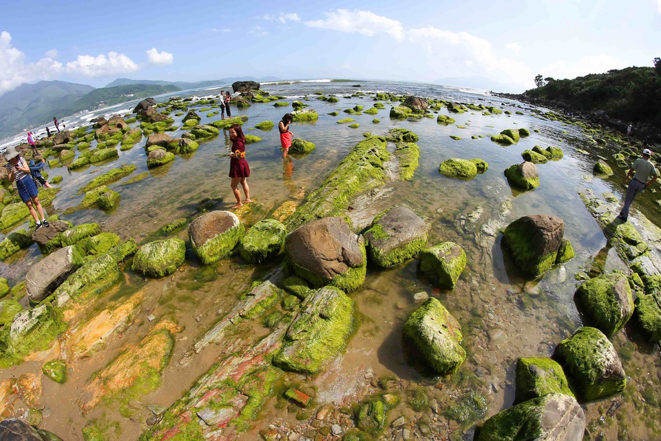 Bãi đá Nam Ô với rêu xanh bao phủ và chỉ lộ ra khi thủy triều xuống đã thu hút người dân, du khách đến tham quan, chụp ảnh. (Ảnh: Trần Lê Lâm/TTXVN)