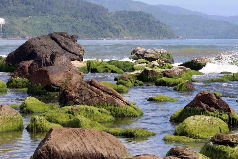 Bãi đá Nam Ô thuộc quận Liên Chiểu, thành phố Đà Nẵng đang là thời điểm đẹp nhất trong năm, thu hút nhiều người dân và du khách đến tham quan. (Ảnh: Trần Lê Lâm/TTXVN)