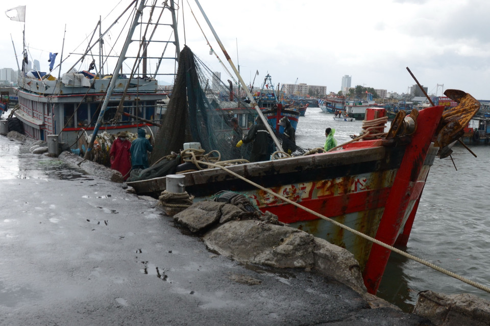 Lực lượng chức năng hỗ trợ ngư dân dọn dẹp ngư lưới cụ, chằng chống tàu thuyền tại Âu thuyền Thọ Quang (quận Sơn Trà). (Ảnh: Quốc Dũng/TTXVN)