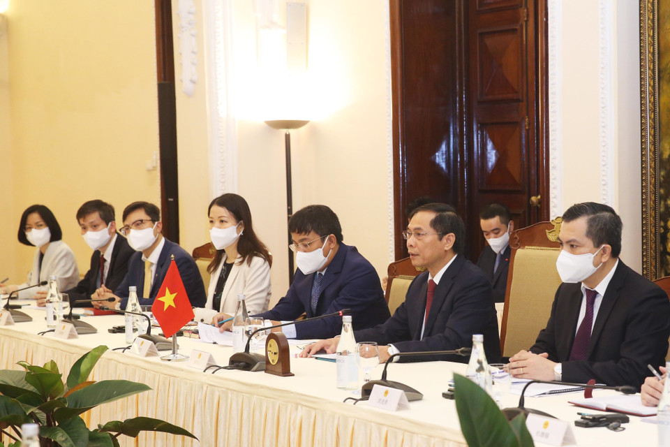 Bộ trưởng Ngoại giao Bùi Thanh Sơn tại buổi hội đàm. (Ảnh: Lâm Khánh/TTXVN)