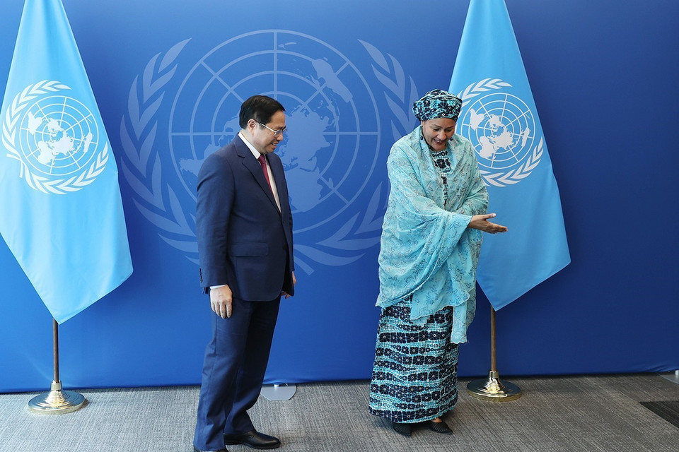 (Ảnh: Dương Giang/TTXVN)