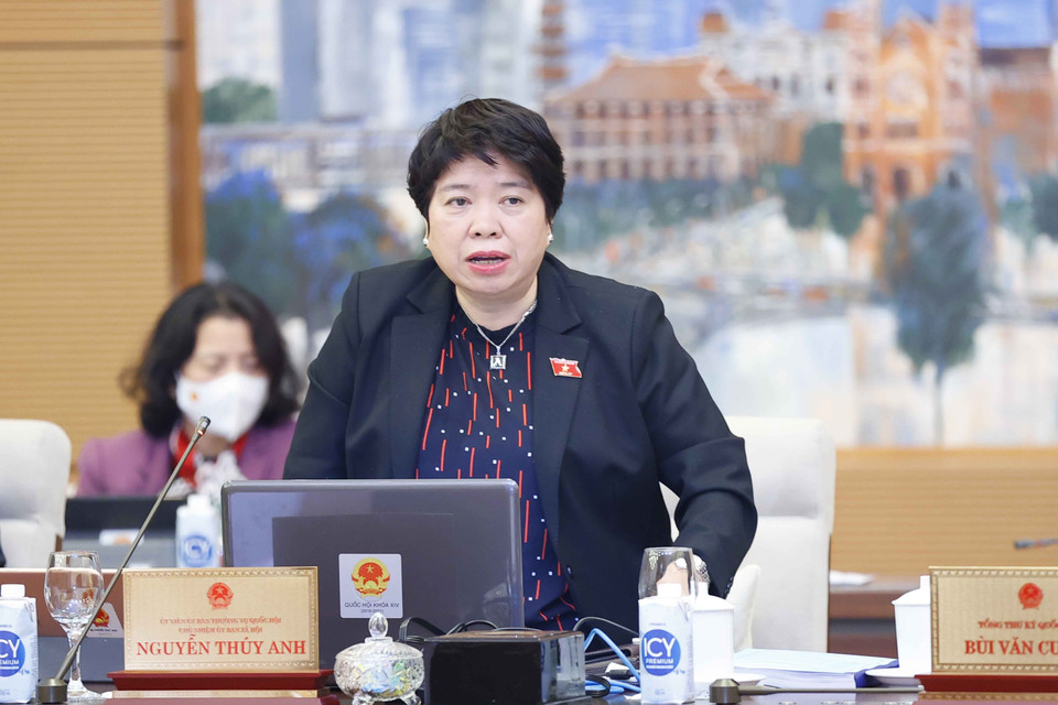 Chủ nhiệm Ủy ban Xã hội của Quốc hội Nguyễn Thúy Anh phát biểu ý kiến. (Ảnh: Doãn Tấn/TTXVN)
