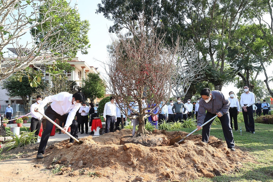 (Ảnh: Dương Giang/TTXVN)