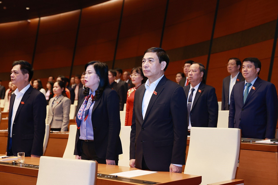 Các đại biểu thực hiện nghi thức chào cờ. (Ảnh: TTXVN)