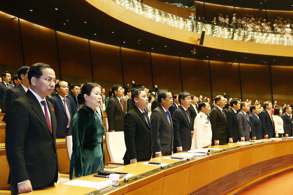 Các đại biểu thực hiện nghi thức chào cờ. (Ảnh: TTXVN)