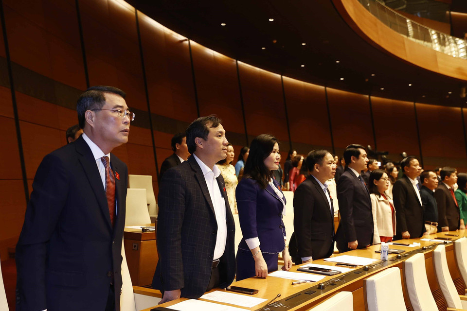 Các đại biểu thực hiện nghi thức chào cờ. (Ảnh: TTXVN)