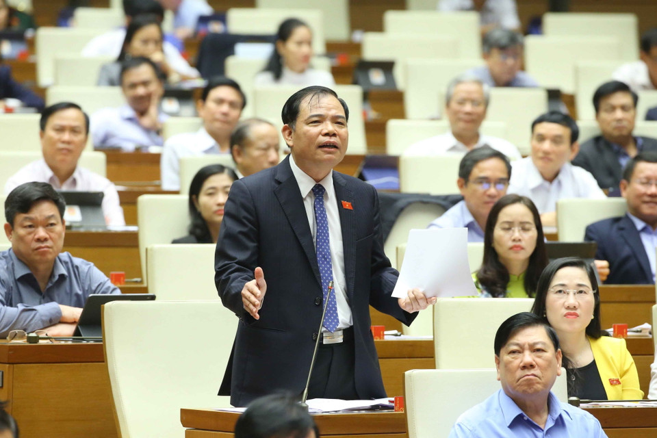 Bộ trưởng Bộ Nông nghiệp và Phát triển Nông thôn Nguyễn Xuân Cường trả lời câu hỏi chất vấn. (Ảnh: Doãn Tấn/TTXVN)