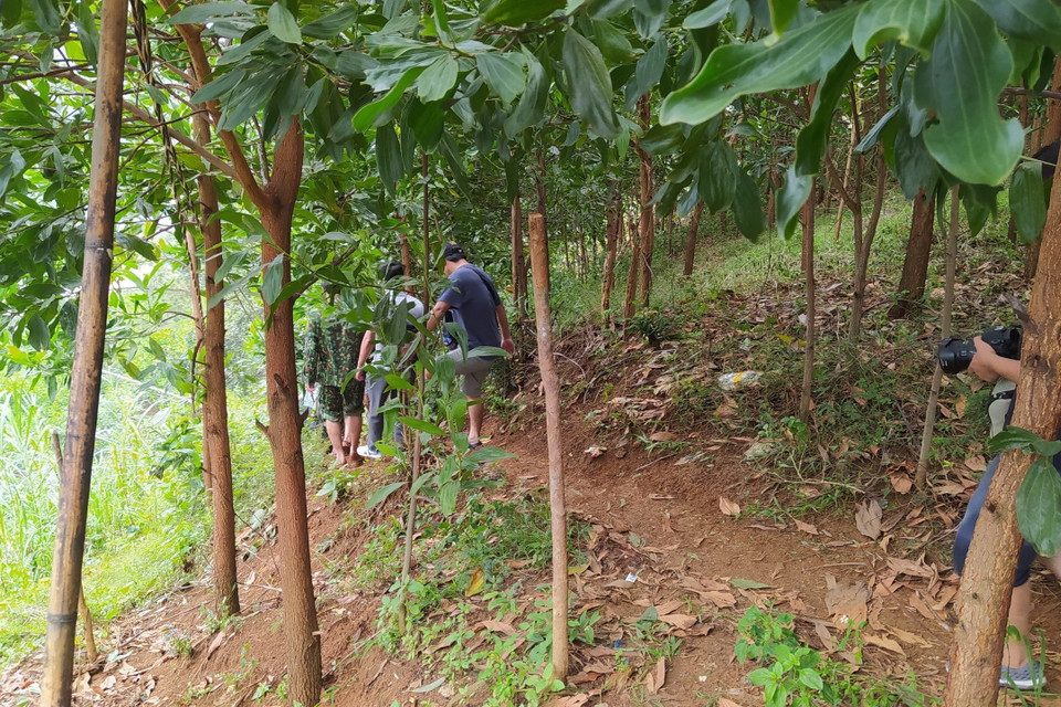 Lực lượng cứu hộ băng rừng Phước Lộc để tiếp cận xã Phước Sơn. (Ảnh: Quốc Dũng/TTXVN)