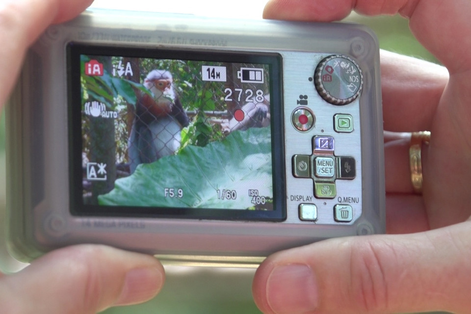 Bà Sally Jewell, Bộ trưởng Nội vụ Hoa Kỳ ghi lại khoảnh khắc cá thể linh trưởng đang ăn. (Ảnh: Tùng Lâm/Vietnam+) 