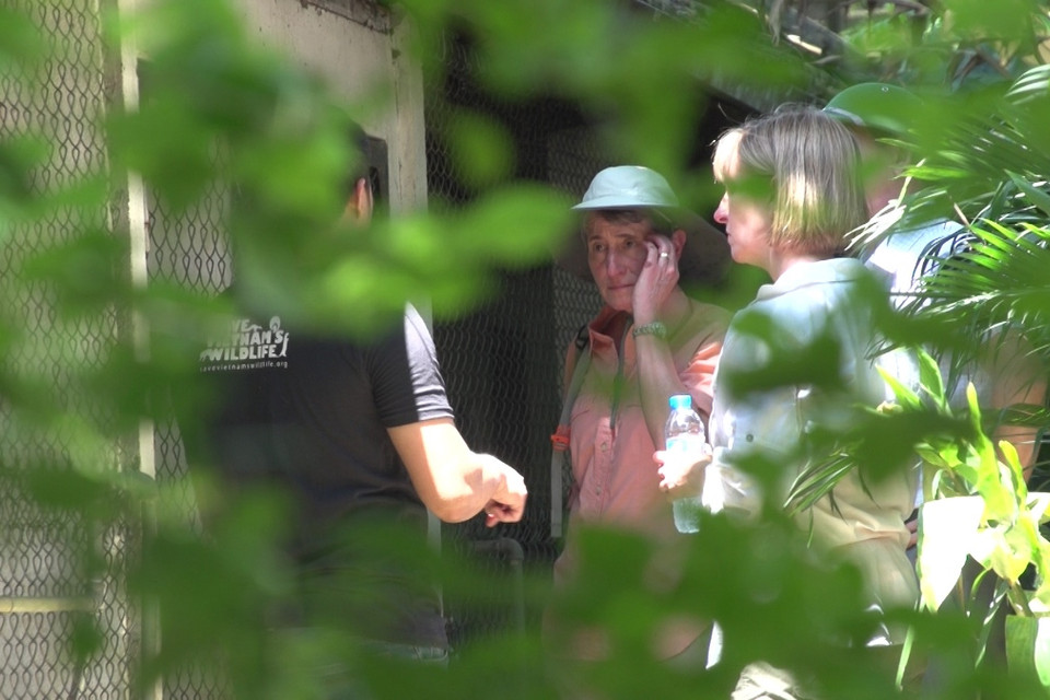 (Ảnh: Tùng Lâm/Vietnam+)