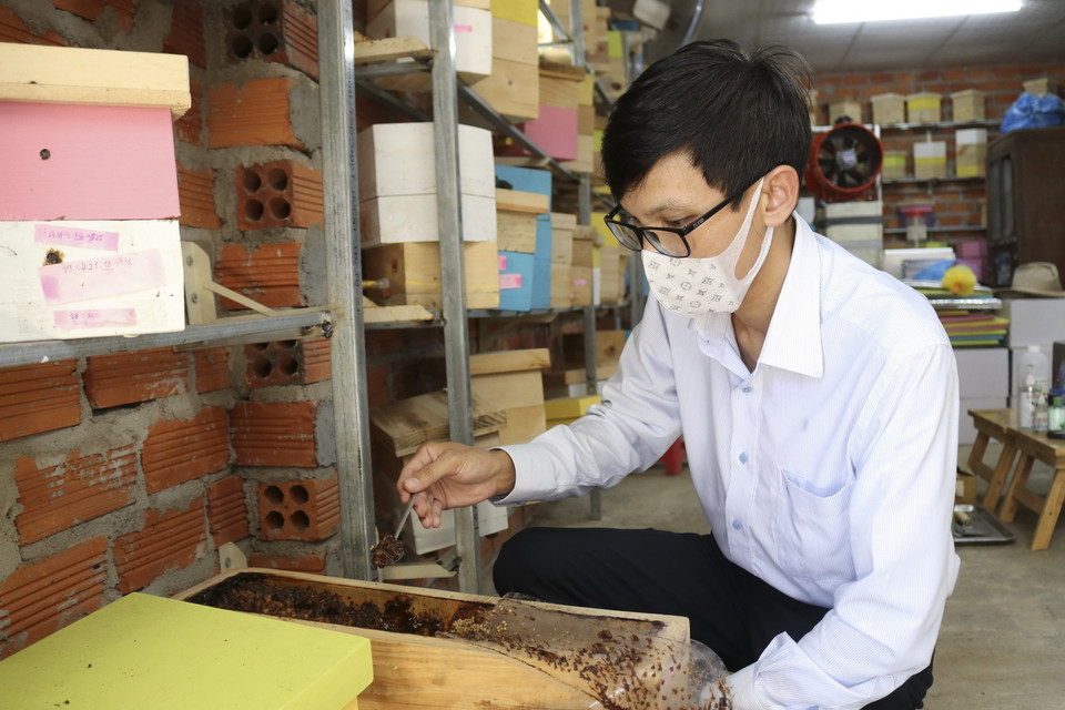  Kiểm tra mật ở thùng ong đặt trong nhà. (Ảnh: Nguyễn Thành/TTXVN)
