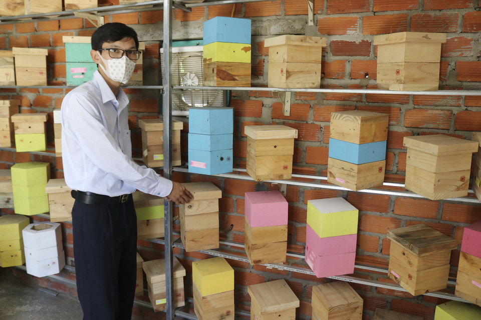  Anh Nguyễn Hữu Trực, phường Bảo An, thành phố Phan Rang-Tháp Chàm kiểm tra các hộp nuôi ong dú. (Ảnh: Nguyễn Thành/TTXVN)