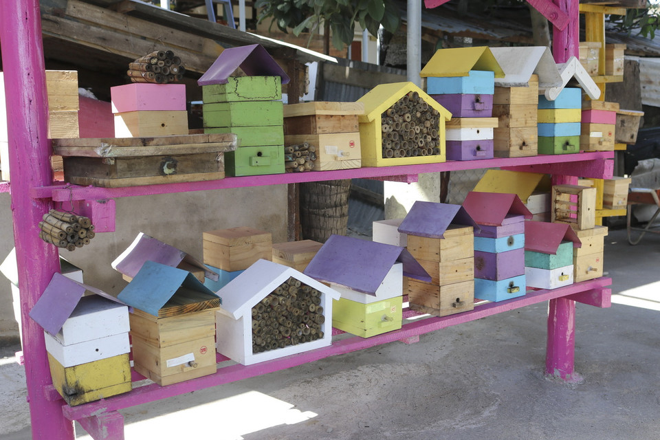  Các tổ ong dú được trang trí bắt mắt để vừa nuôi lấy mật vừa trang trí tạo điểm nhấn cho không gian sống quanh nhà. (Ảnh: Nguyễn Thành/TTXVN)