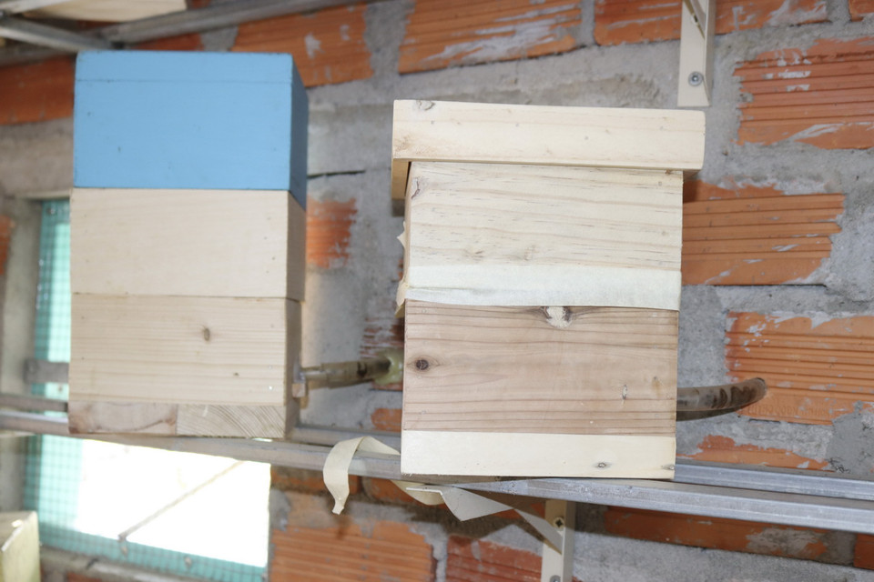  Tổ ong dú chia thành ba tầng để ong sinh sản, dự trữ keo ong, mật ong và phấn ong, riêng tầng đáy đục một lỗ nhỏ gắn ống nhựa dẻo thông qua tường nhà để ong chui ra, vào. (Ảnh: Nguyễn Thành/TTXVN)