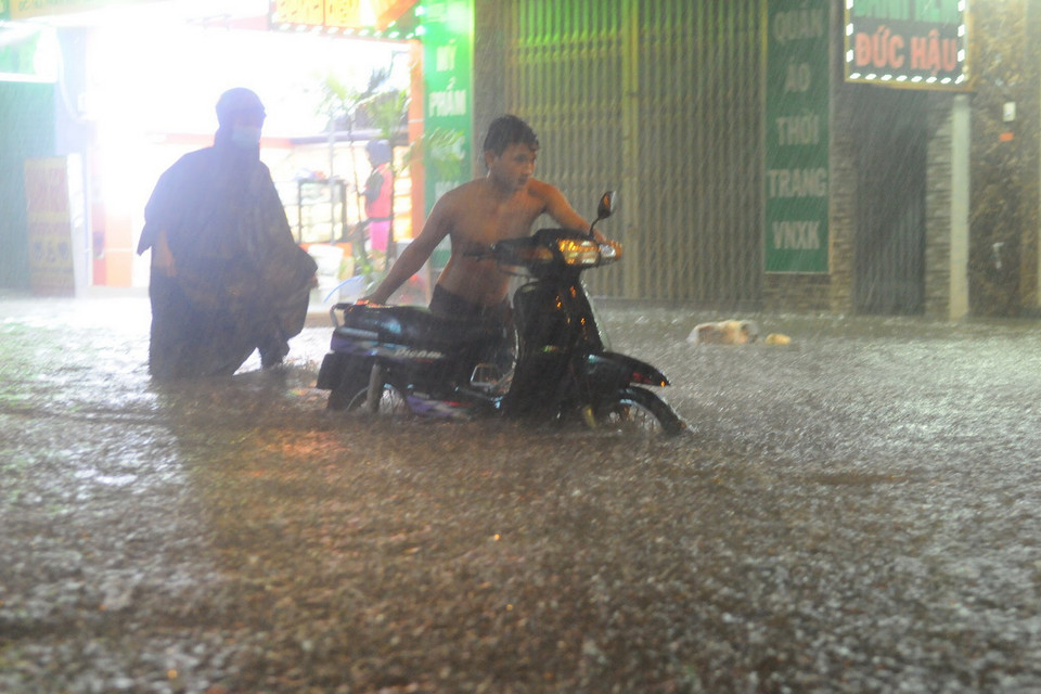 (Ảnh: Linh Dự/Vietnam+)