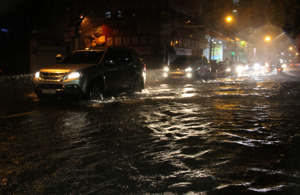 (Ảnh: Linh Dự/Vietnam+)