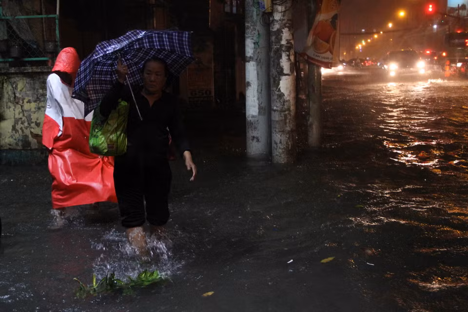 (Ảnh: Linh Dự/Vietnam+)