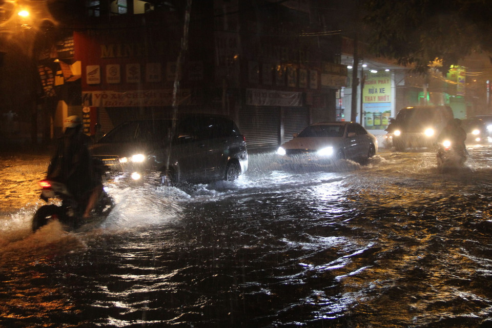 (Ảnh: Linh Dự/Vietnam+)