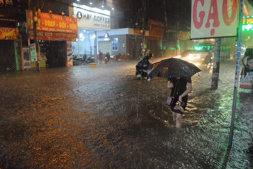 (Ảnh: Linh Dự/Vietnam+)